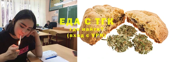 spice Дмитриев