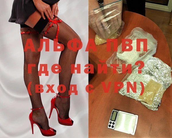 шишки Дмитров