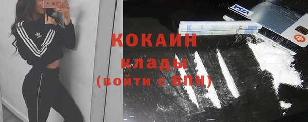 шишки Дмитров