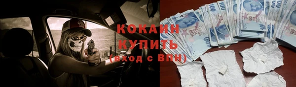 шишки Дмитров