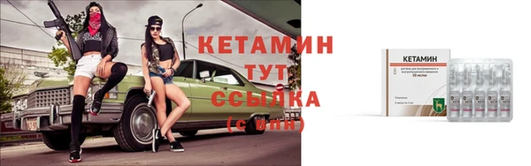 шишки Дмитров