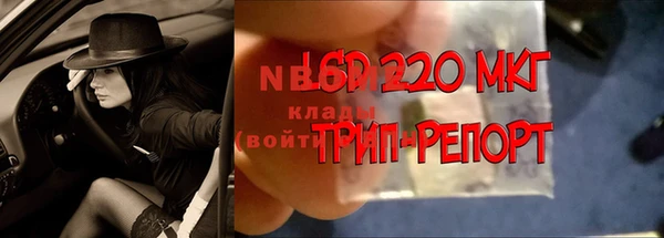 spice Дмитриев