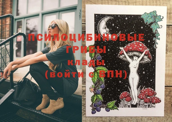 spice Дмитриев