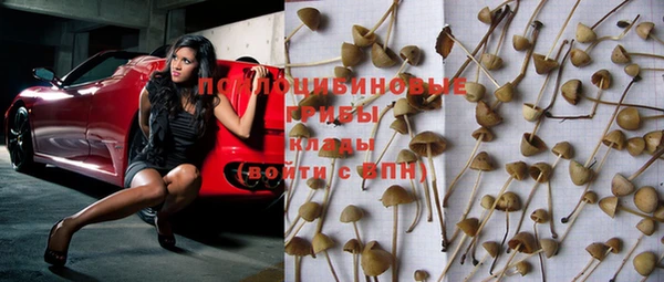 шишки Дмитров