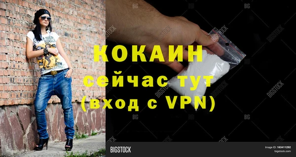 шишки Дмитров