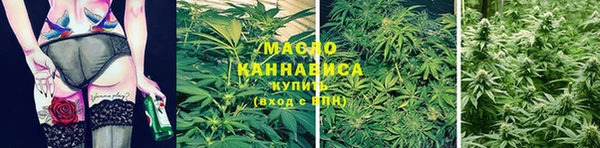 шишки Дмитров